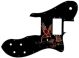 Hummingbird Jewel - '72 ReIssue Custom Tele