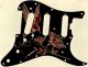 Hummingbird Jewel - SSS Elite Strat