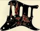 Hummingbird Jewel - SSS Hendrix Voodoo Strat