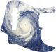 Hurricane