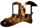 INRI - Vintera '70s Tele Thinline