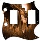 INRI