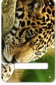 Jaguar Face