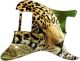 Jaguar Face