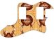 Jesus 1 - Vintera '70s Tele Thinline