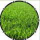 Just Grass