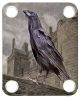 King Crow
