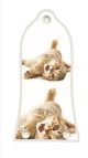 Kitten