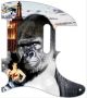 Kong