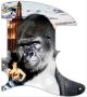 Kong