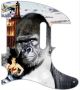 Kong
