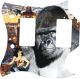 Kong