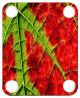 Leaf 2
