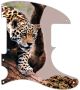 Leopard Descending Branch