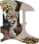 Leopard Descending Branch
