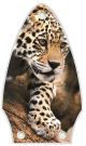 Leopard Decending Branch