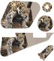Leopard Decending Branch