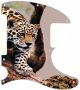 Leopard Descending Branch - Avril Lavigne Tele