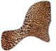 Leopard Print 2