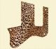 Leopard Print 2