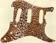 Leopard Print 2 - SSS Elite Strat