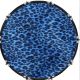 Leopard Print Blue