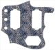 Leopard Print Blue/White