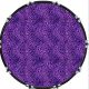 Leopard Print Purple
