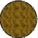Leopard Print Yellow