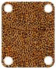 Leopard Print Tight