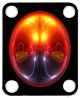 Light Bulb 4