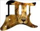 Lion 2
