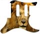 Lion 2