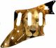 Lion 2