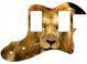 Lion 2