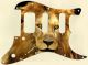 Lion 2