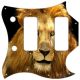 Lion 2