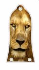 Lion 2