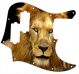 Lion 2
