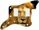 Lion 2