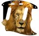 Lion 2