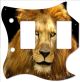 Lion 2