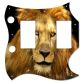 Lion 2