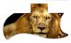Lion 2