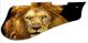 Lion 2