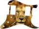 Lion 2