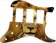 Lion 2