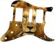 Lion 2