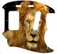 Lion 2
