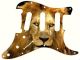 Lion 2